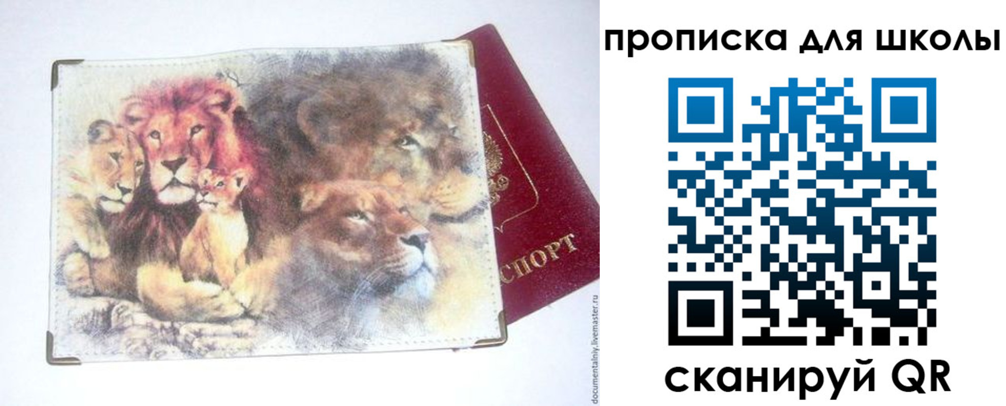 временная регистрация гарантия в Балтийске